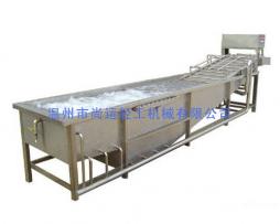 沖浪式自動洗果機(jī)